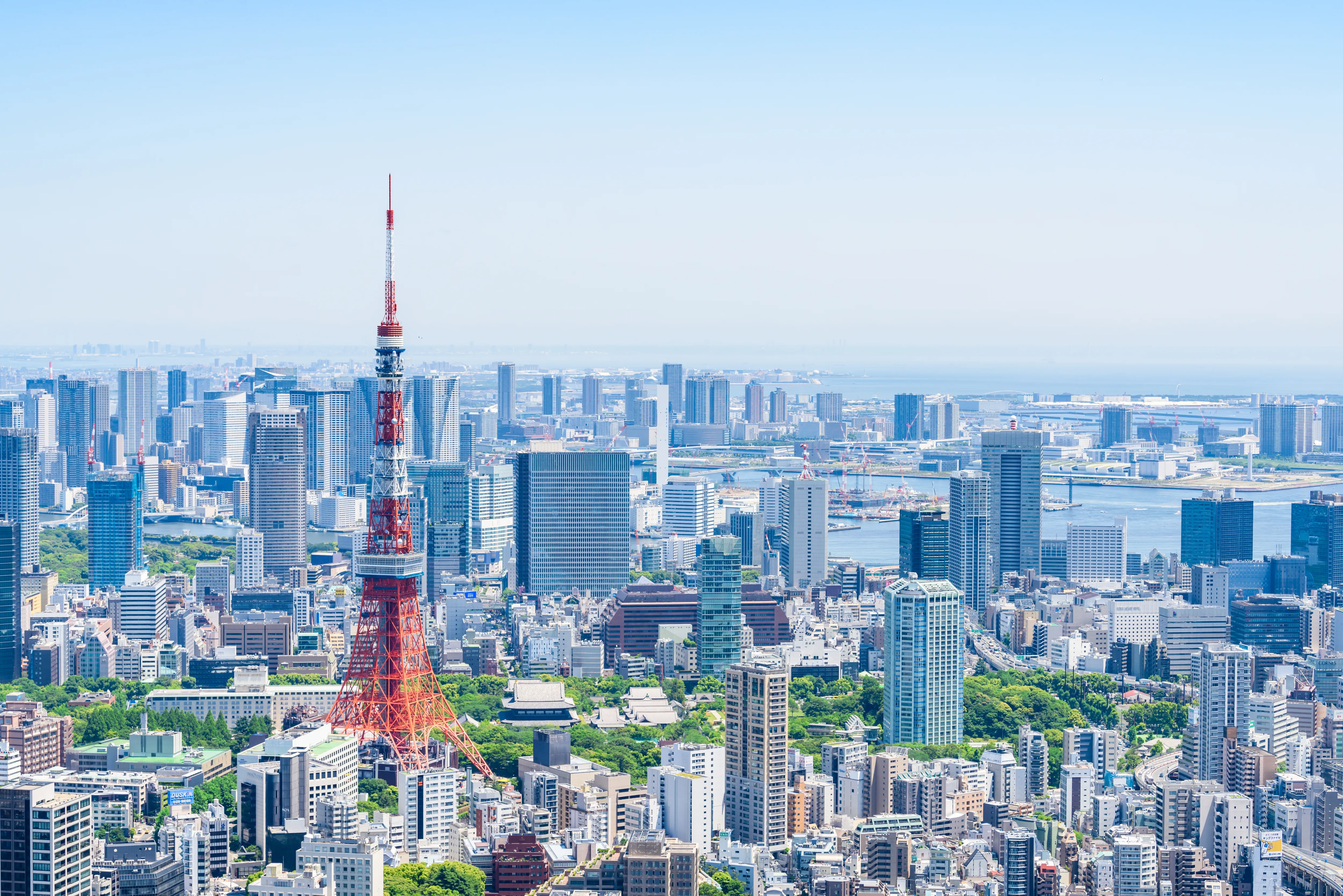 コンサルティング風景